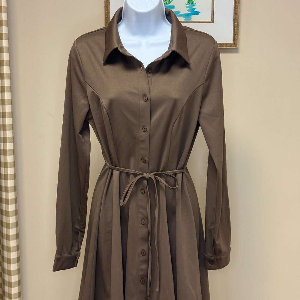 Charm Flare Shirt Dress